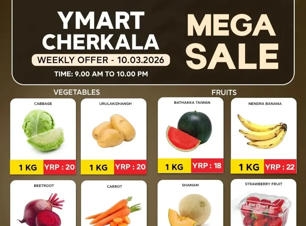 Mega sale flyer cover