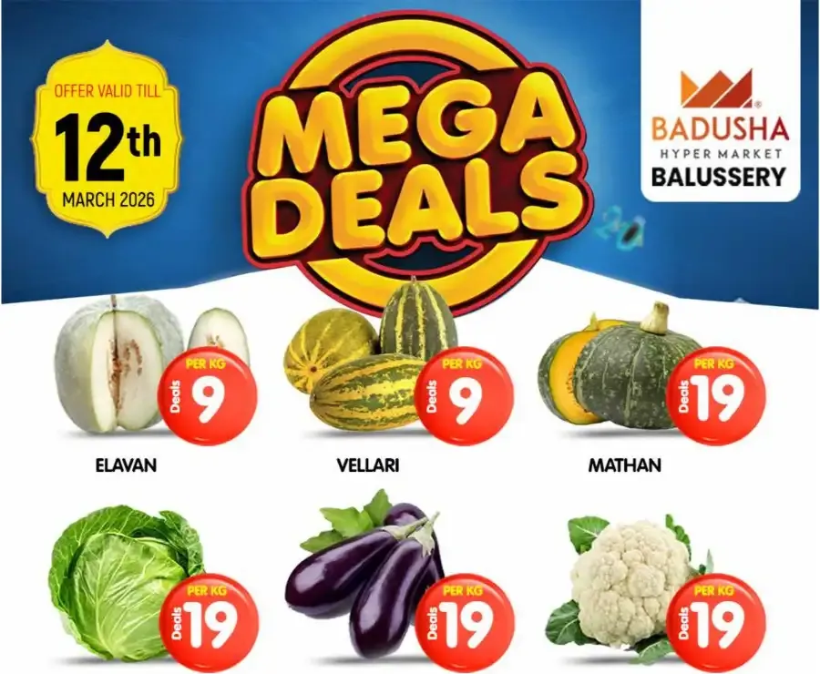 Mega deal flyer cover