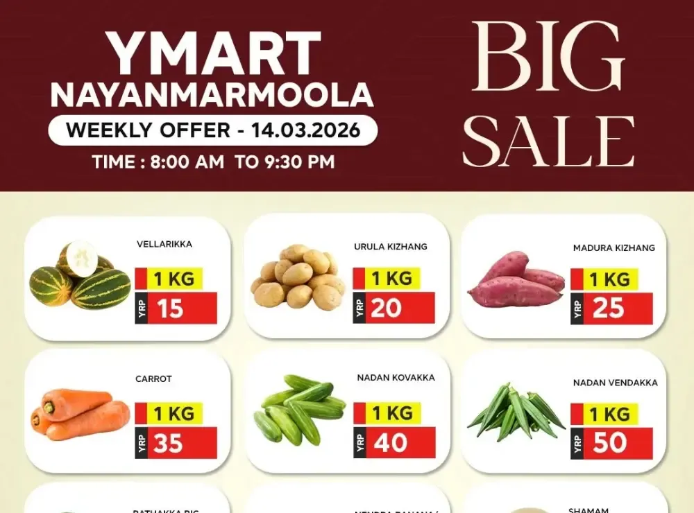 Big sale flyer cover