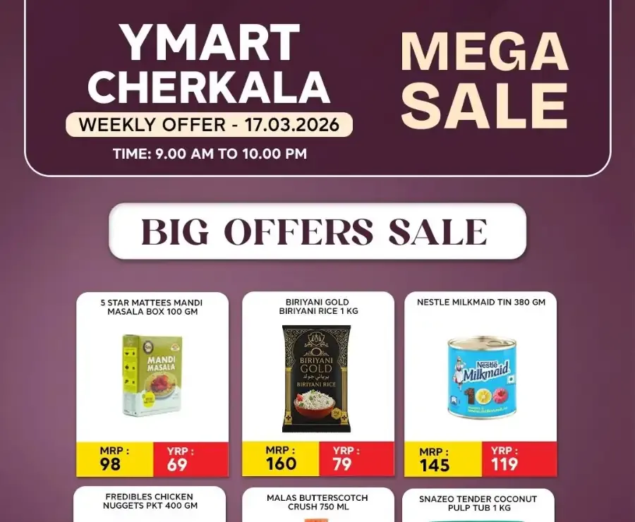 Mega sale flyer cover
