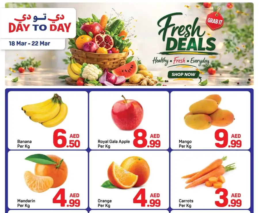 Day To Day Dubai | Fresh Grocery Deals & Offers at Al Maktoum Road flyer cover