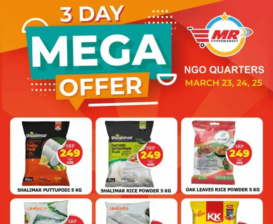 3 Days mega offer flyer cover