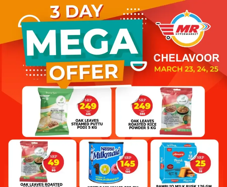 3 Days mega offer flyer cover