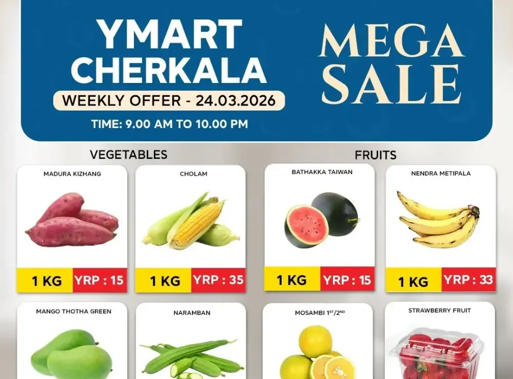 Mega sale flyer cover