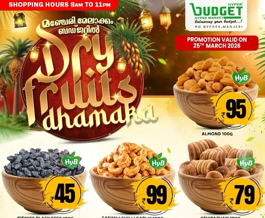 Dry Fruits Dhamaka flyer cover