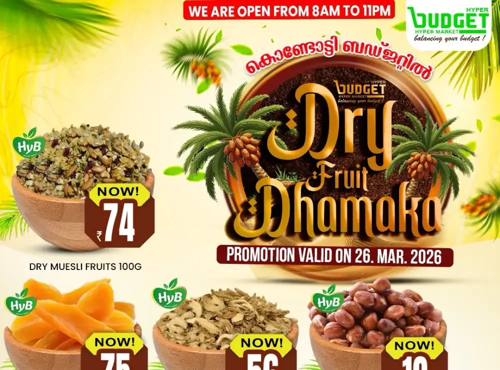 Dry Fruits Dhamaka flyer cover