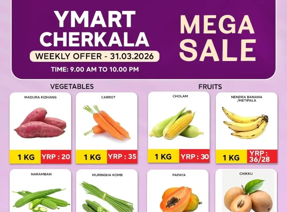 Mega sale flyer cover