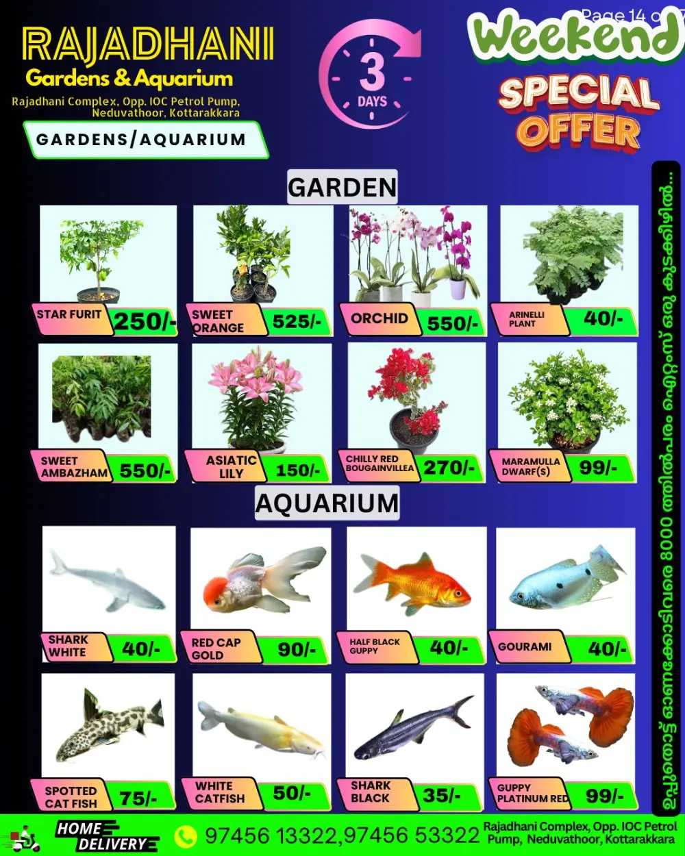 Saturday sale page 4