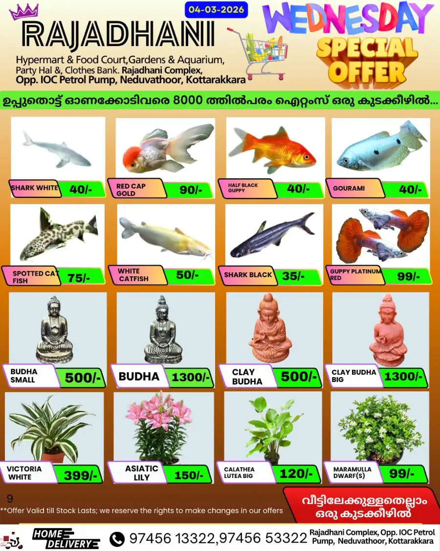 Wednesday special page 7