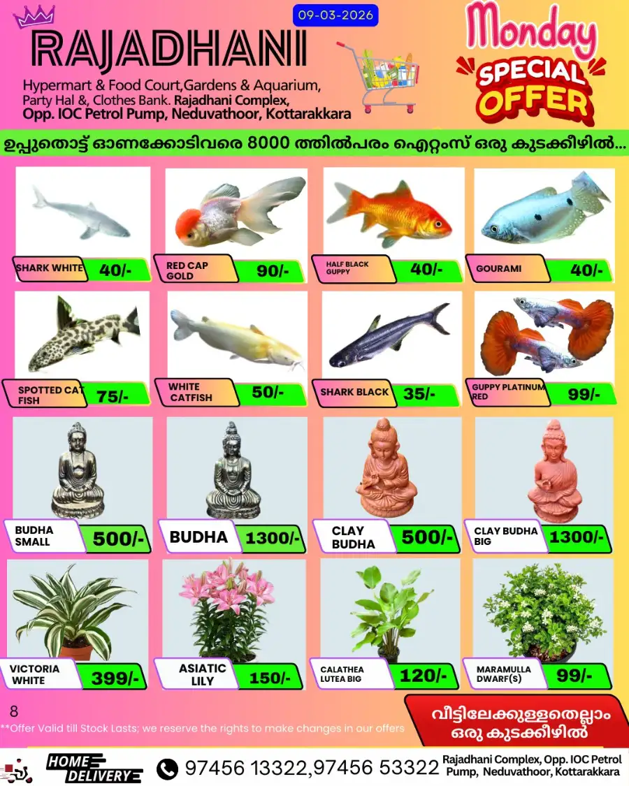 Monday offer page 7