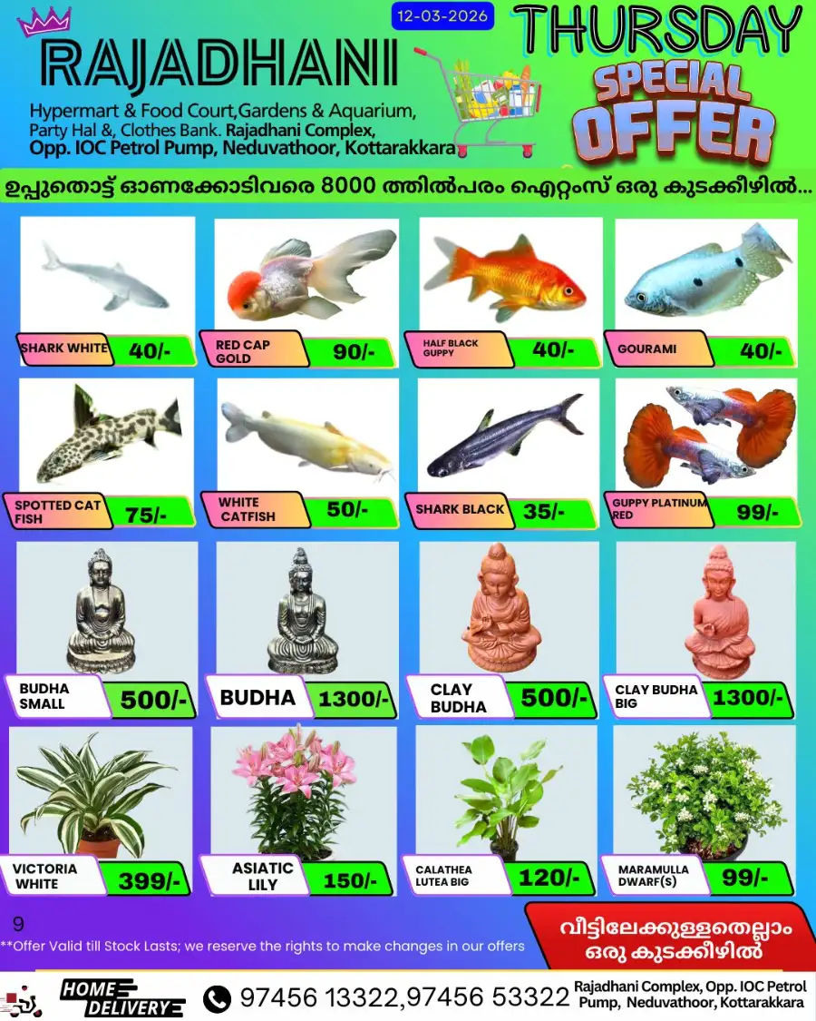 Thursday offer page 8
