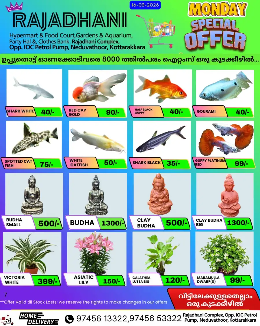 Monday offer page 7