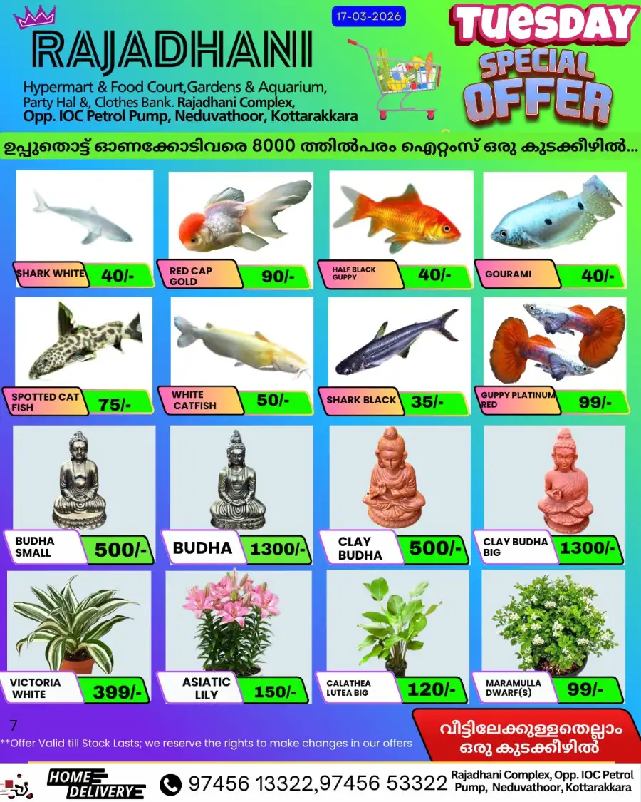Tuesday offer page 7