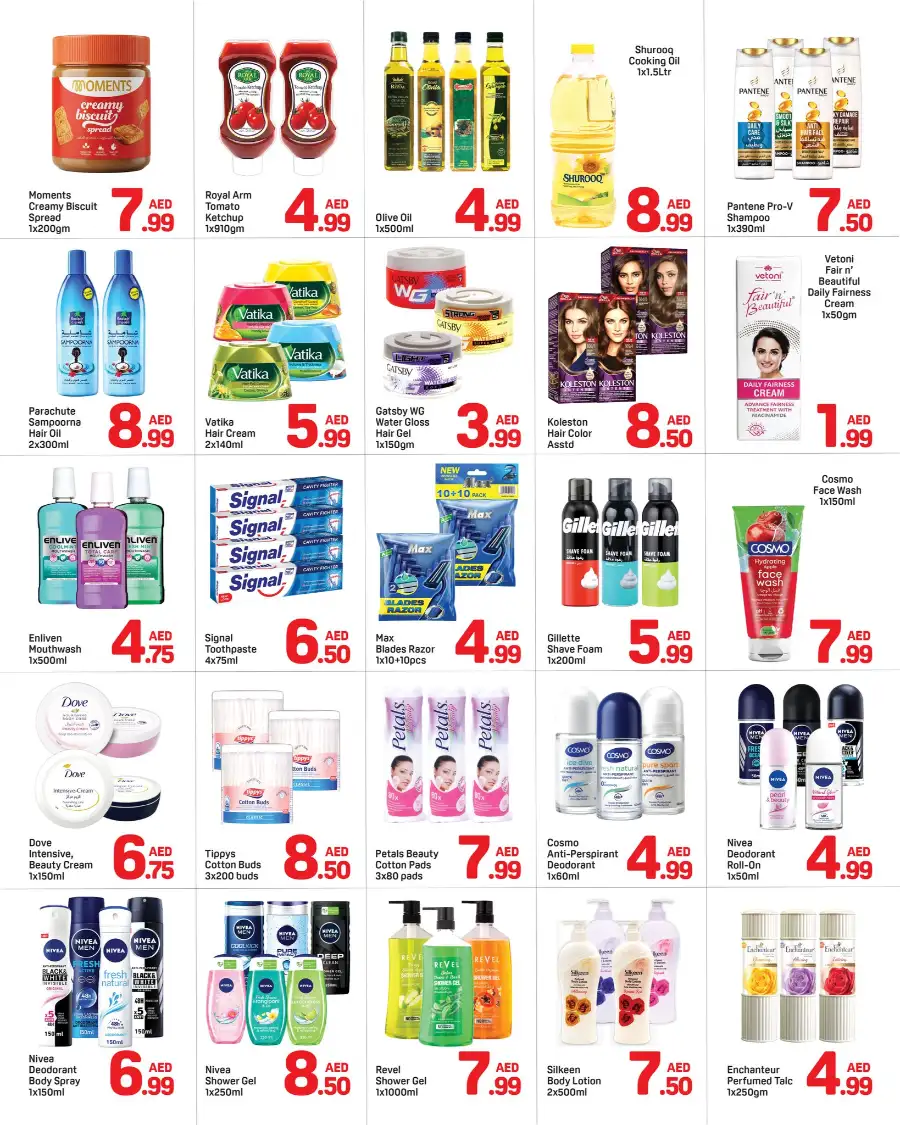 Day To Day Al Barsha Dubai | Mega Deals & Grocery Offers Mar 21-27 page 3