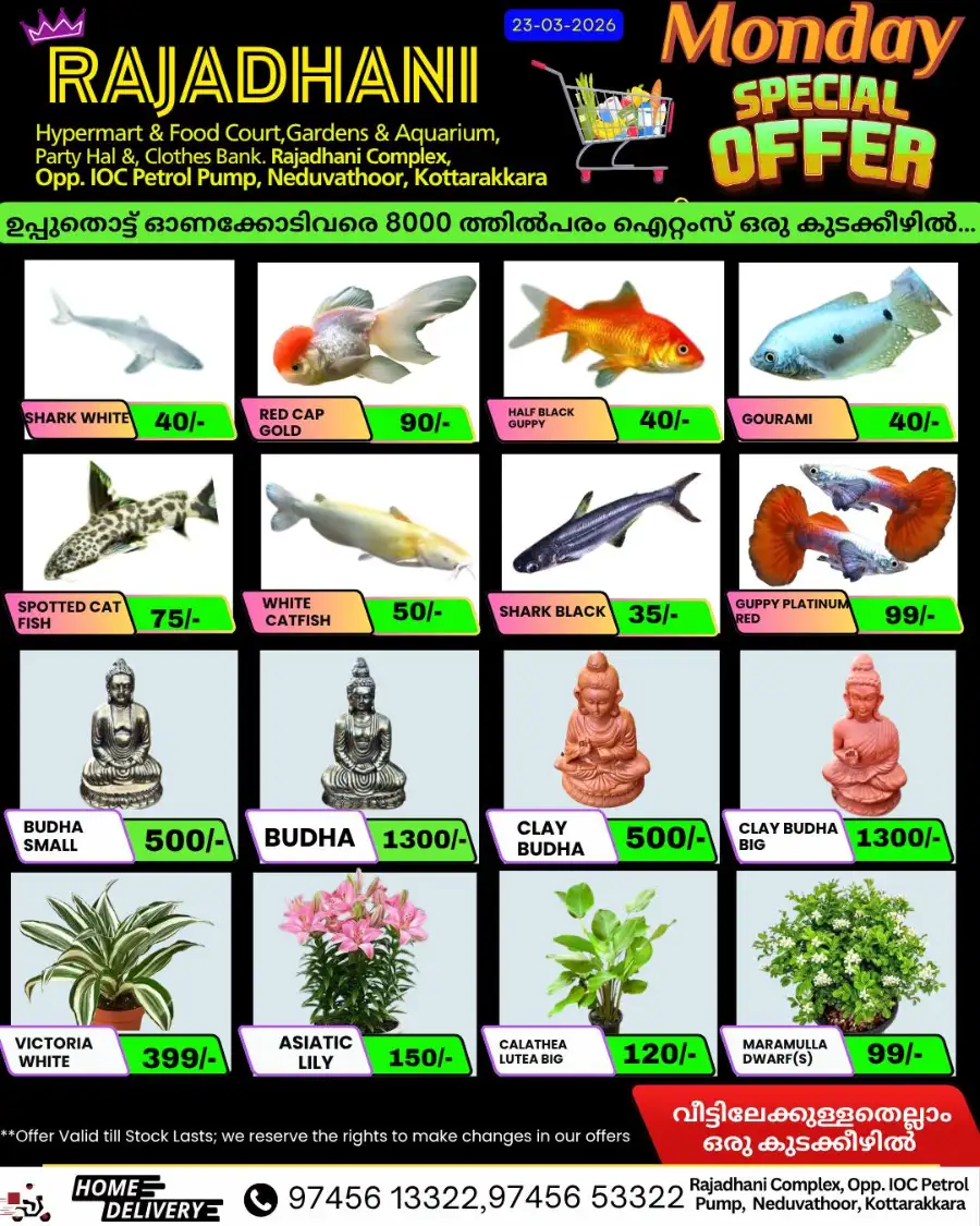 Monday special page 2