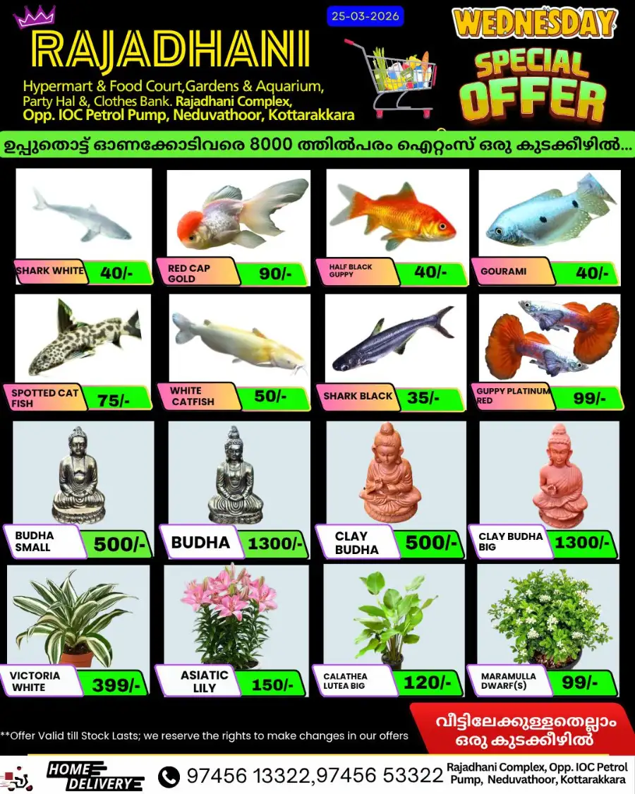 Wednesday offer page 7