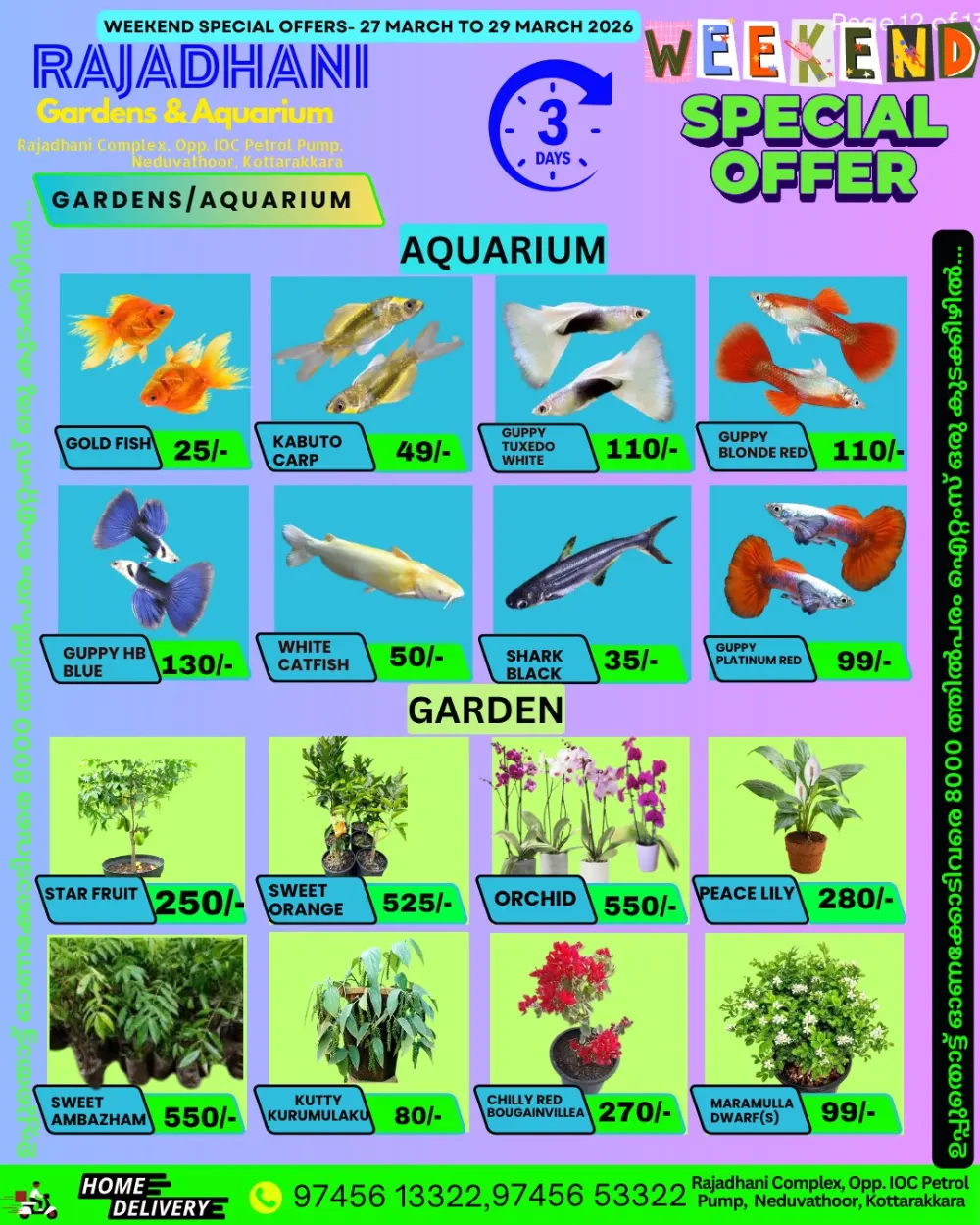Weekend offer page 2