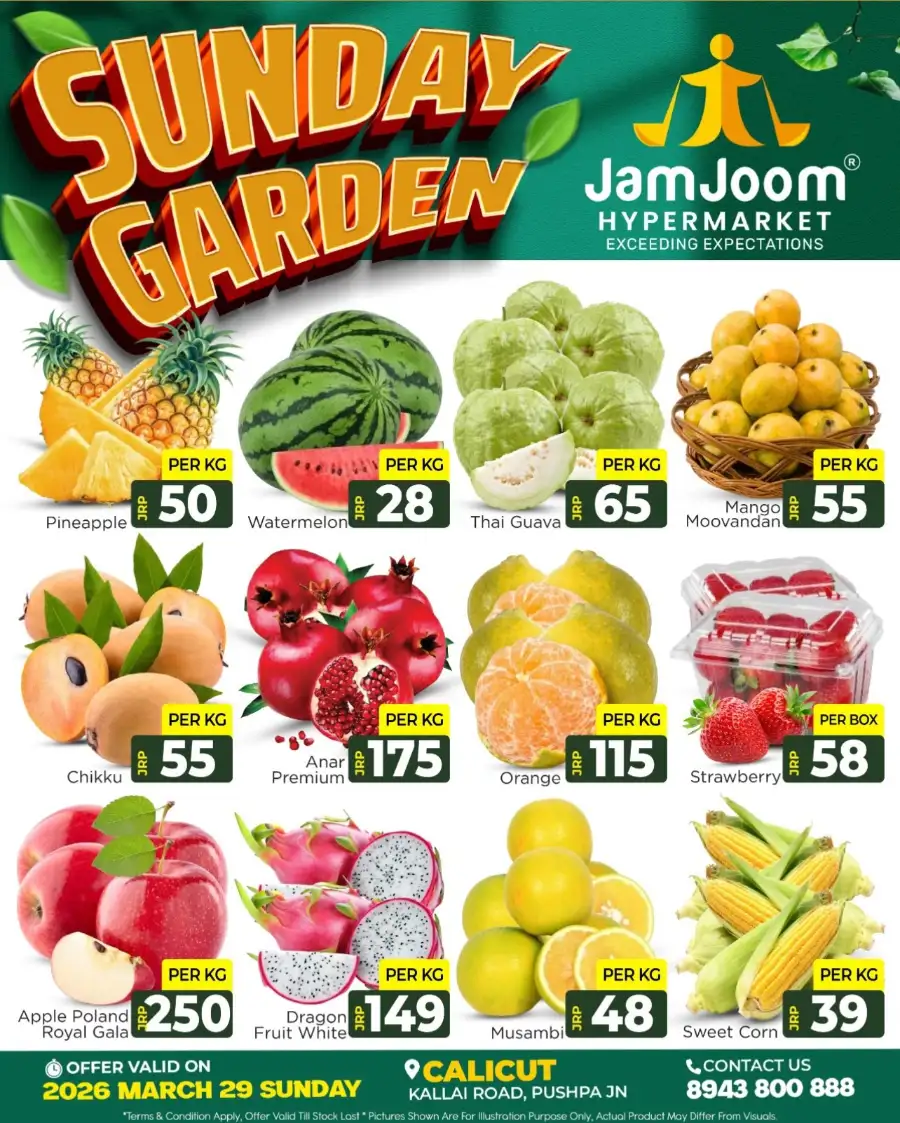 Sunday Garden Deals page 2