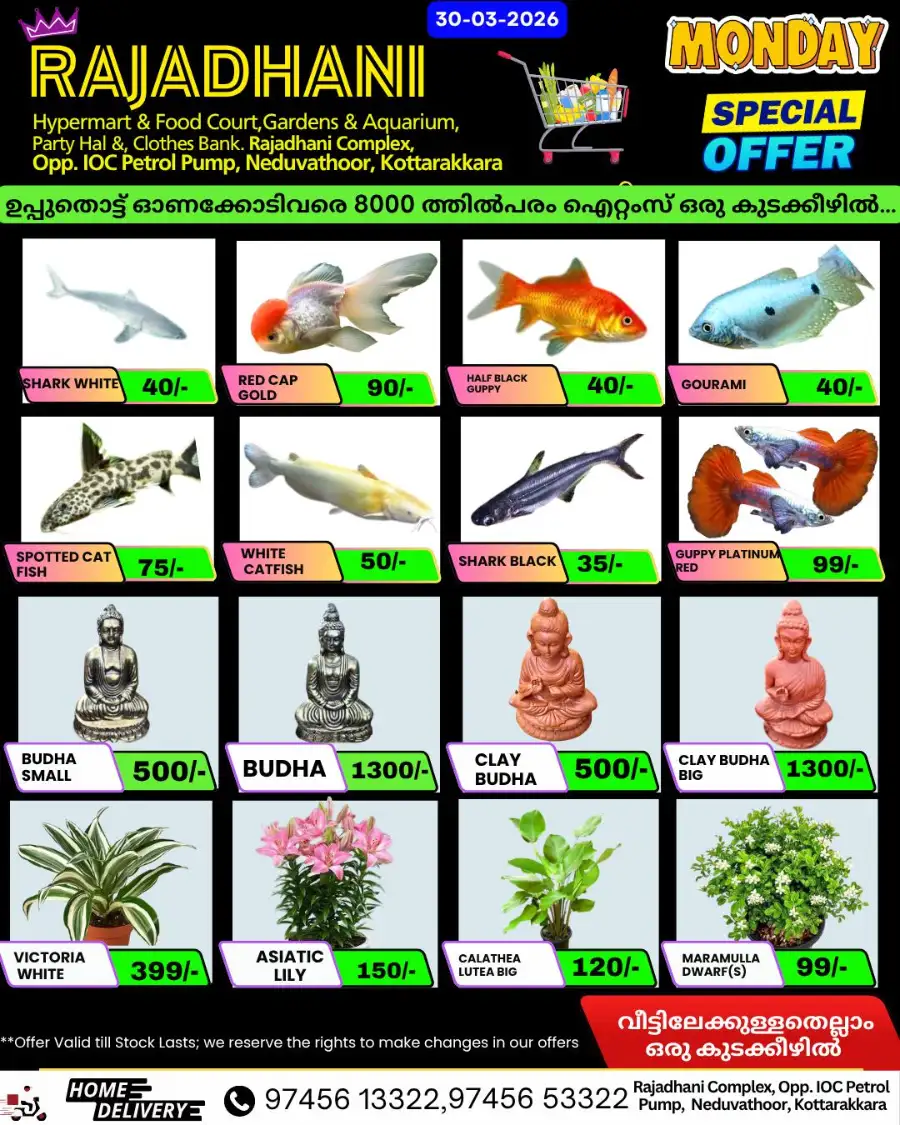 Monday offer page 6