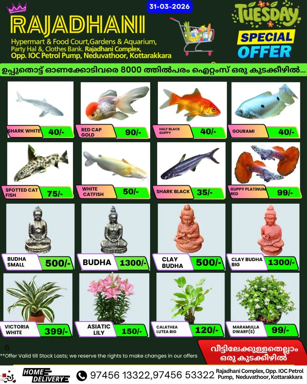 Tuesday special offer page 2